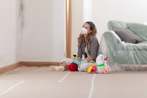 Reliable Mold Cleanup contractor in Hines, OR by WQB Mold Removal